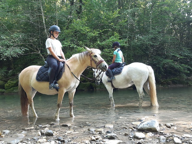 Les Écuries des Usses - photo 2