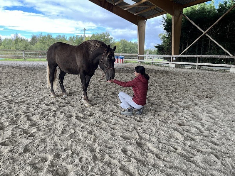 SCEA LES ECURIES DE BOTILLY - photo 1