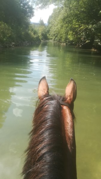 Écurie de Zers - photo 2