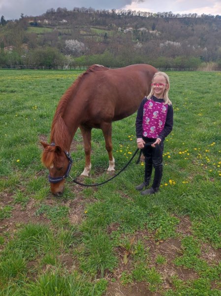 Ecuries Fabrice Gellet - pension chevaux - coaching CSO - photo 2