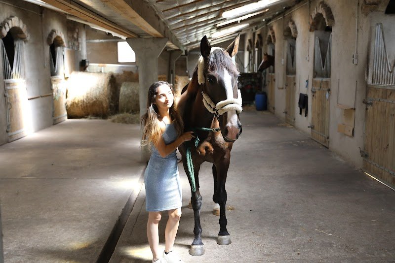 Ecuries Fabrice Gellet - pension chevaux - coaching CSO - photo 3