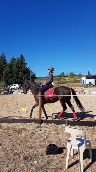 Pension pour chevaux du Moulin Juste