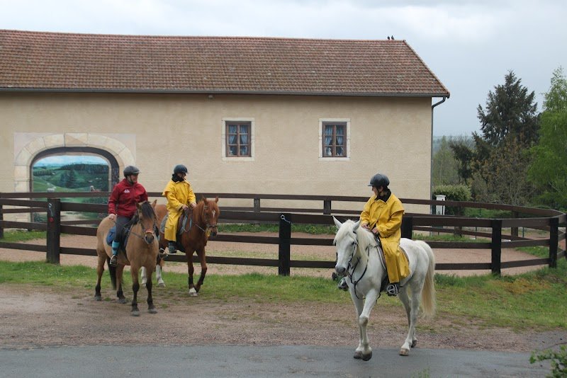 Pension pour chevaux du Moulin Juste - photo 2