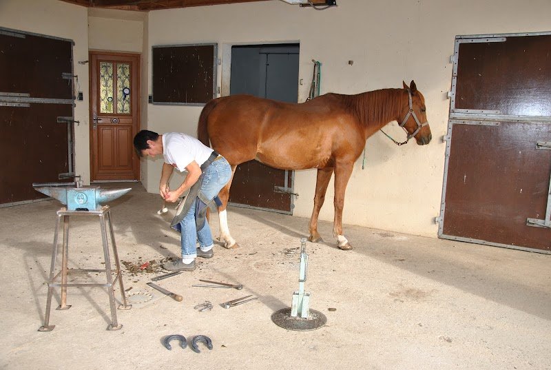 Pension pour chevaux du Moulin Juste - photo 3