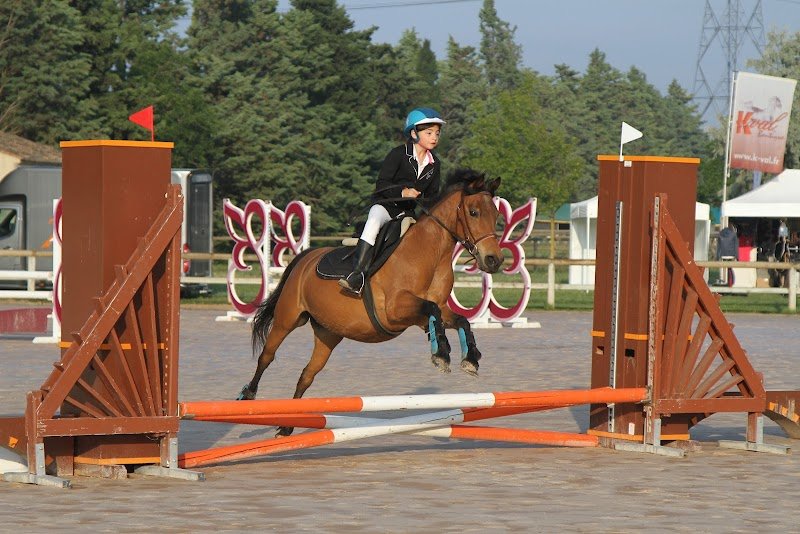 Ecuries des Dalennes - photo 1