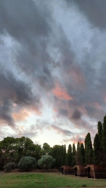 Ecurie Guillot - photo 2