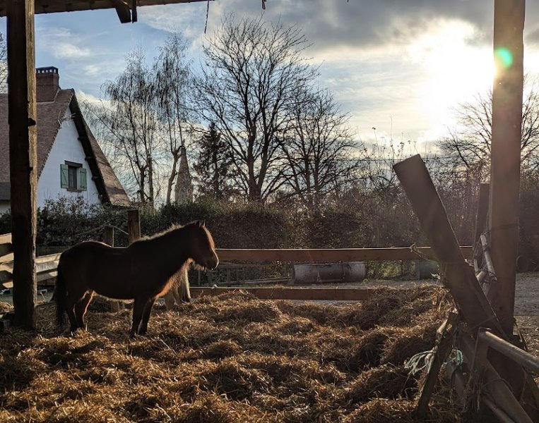 ECURIES DU VAL D ARRE - photo 1