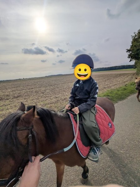 ECURIES DU VAL D ARRE - photo 2