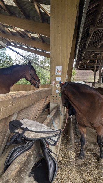 ECURIES DU VAL D ARRE - photo 3