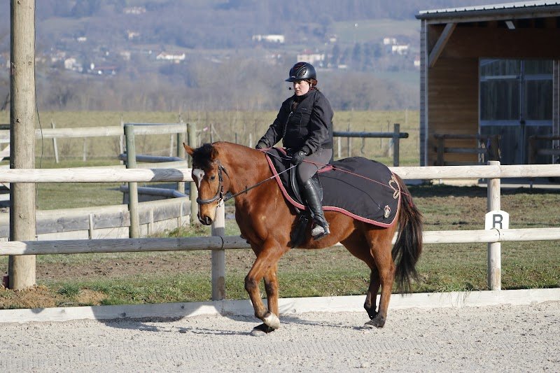 Écurie du Val - photo 2