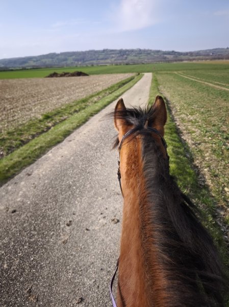 Écurie du Val - photo 3