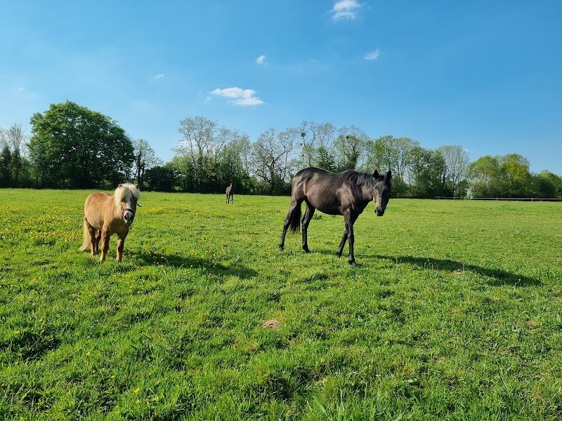 Écurie de Beauregard - photo 2