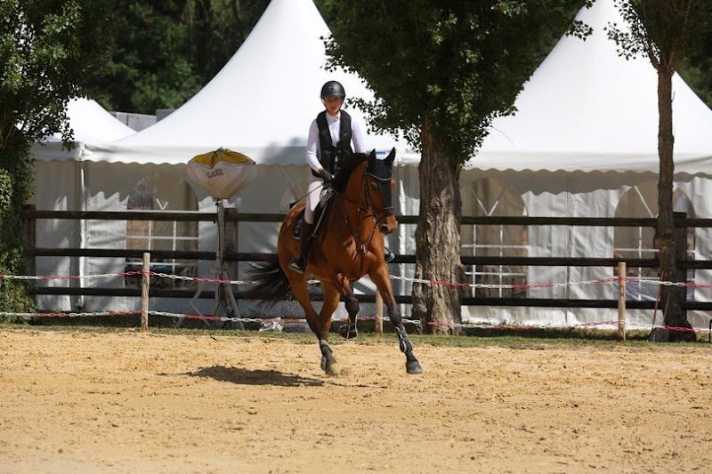 Ecurie Casa Nostra Loisirs - Ecole d'équitation - photo 2