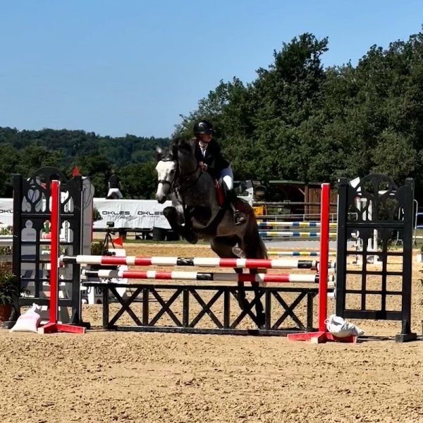 Ecurie Casa Nostra Loisirs - Ecole d'équitation - photo 3