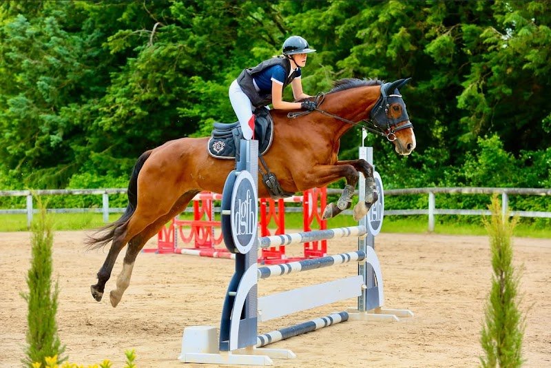 Les écuries de Beauregard - photo 1
