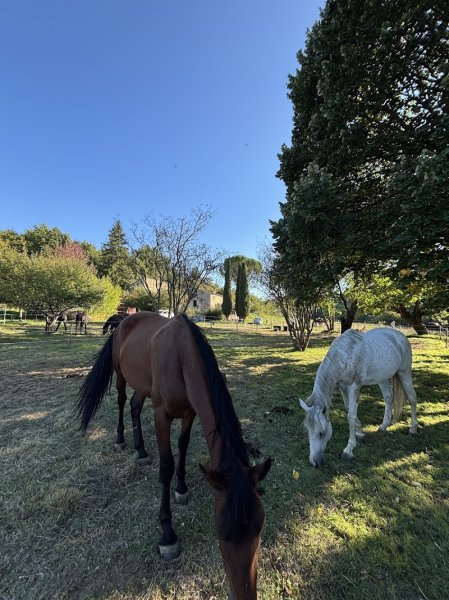 Les écuries de Beauregard - photo 2