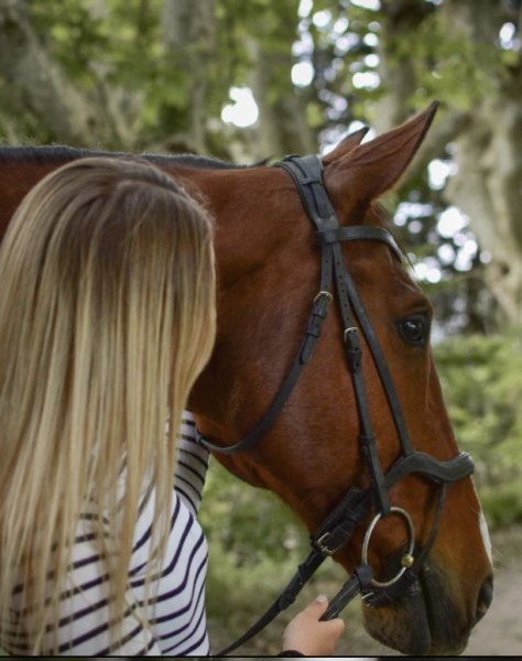 Les écuries de Beauregard - photo 3