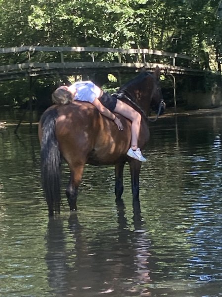 Ferme Equestre de Beauregard - photo 1