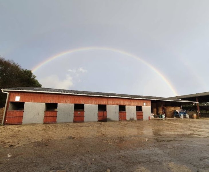 Ferme Equestre de Beauregard - photo 2