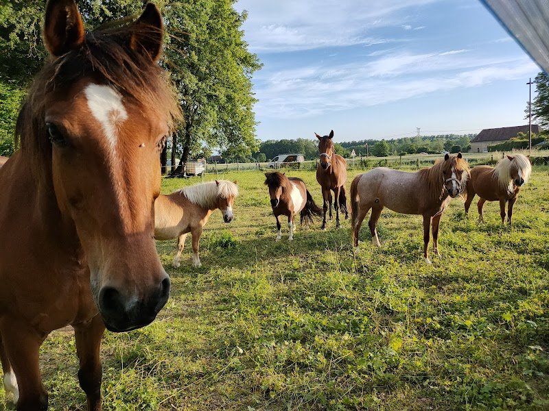 Les Écuries d'Aoste - photo 1