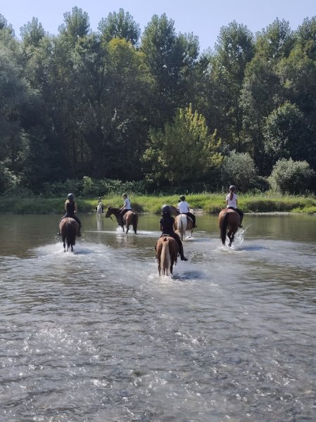 Les Écuries d'Aoste - photo 2
