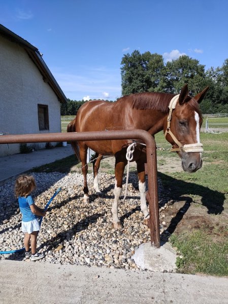 Les Écuries d'Aoste - photo 3