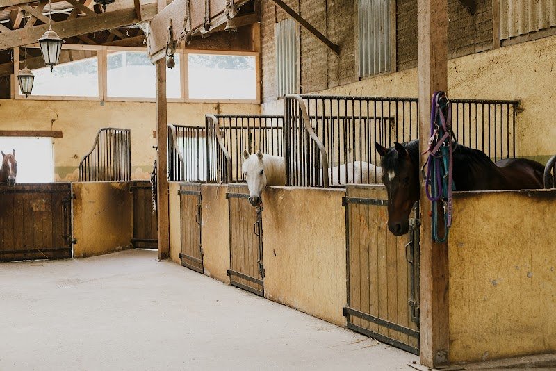 EARL Les écuries de Grange-Neuve