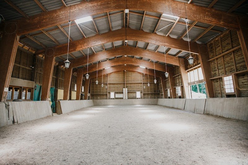 EARL Les écuries de Grange-Neuve - photo 2