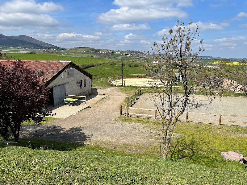 L'Ecurie de Minuit - photo 1