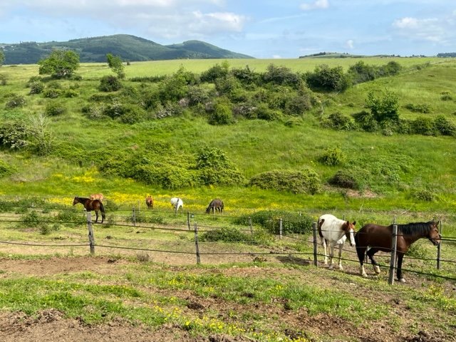 L'Ecurie de Minuit - photo 2