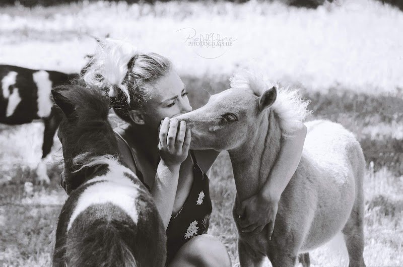 Écurie et élevage du charme