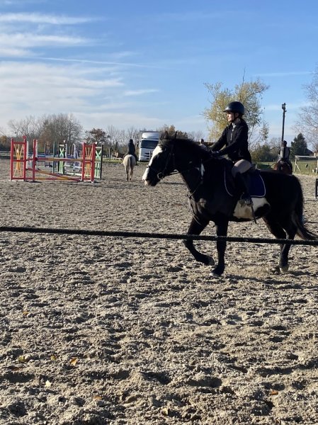 Les Écuries du Manège Enchanté - photo 1