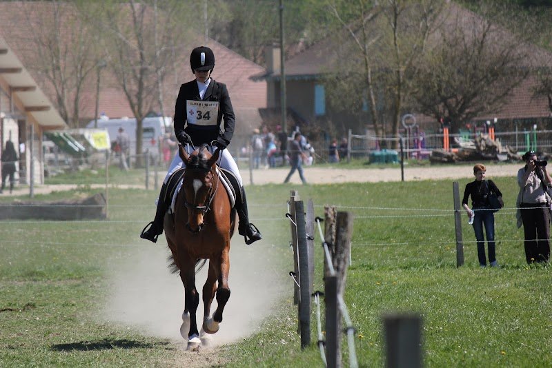 Les Écuries du Manège Enchanté - photo 2