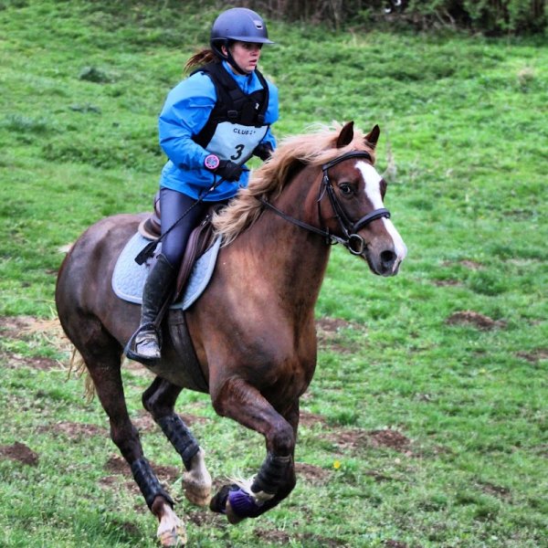 Les Écuries du Manège Enchanté - photo 3