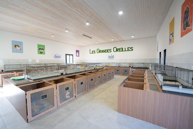 Les Grandes Oreilles Pension - photo 1