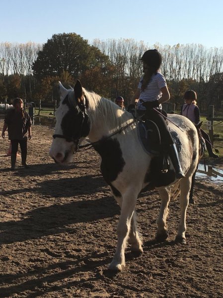 Centre équestre de Brion - photo 2