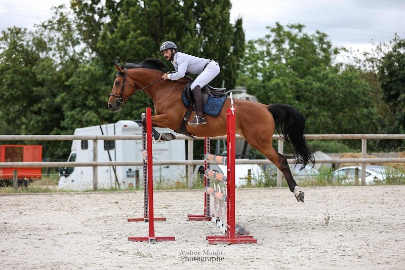 Écuries de la Roselière - photo 1