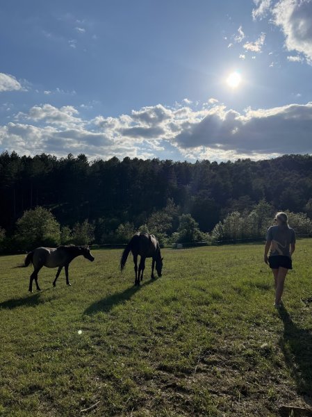 Les Écuries de la Condamine - photo 2