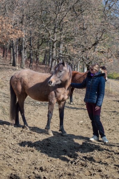 Les Écuries de la Condamine - photo 3