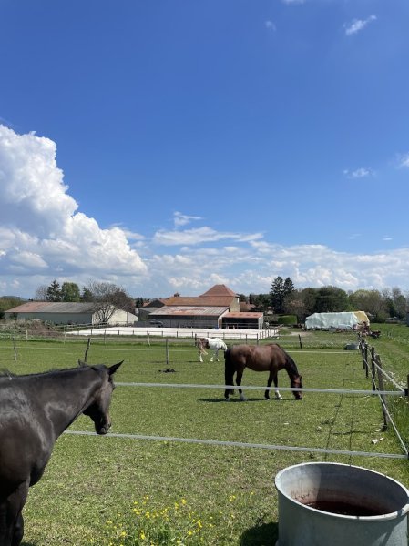 Écurie De La Condamine - photo 3