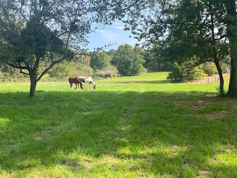 Ecurie Des Acacias - photo 2