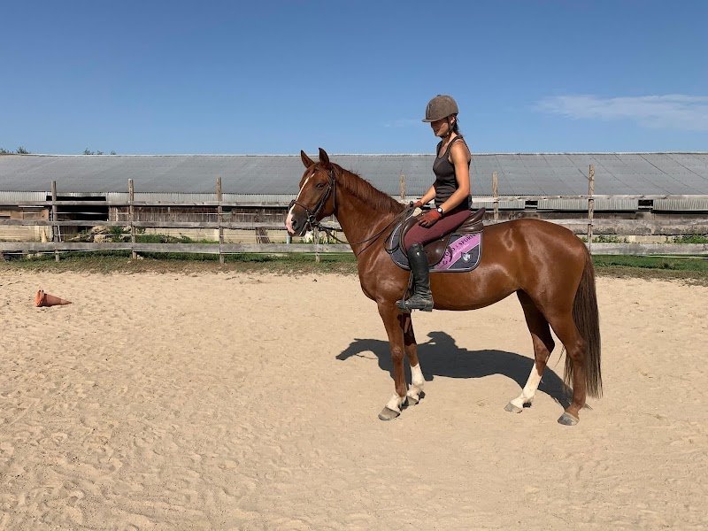 Ecurie Des Acacias - photo 3