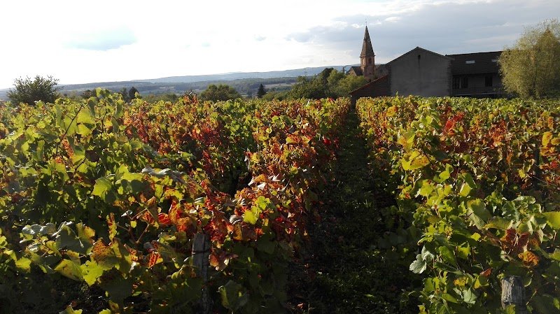 Ecurie d'Aujoux - photo 2