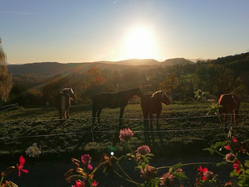 Les Écuries de Plein Sud - photo 1