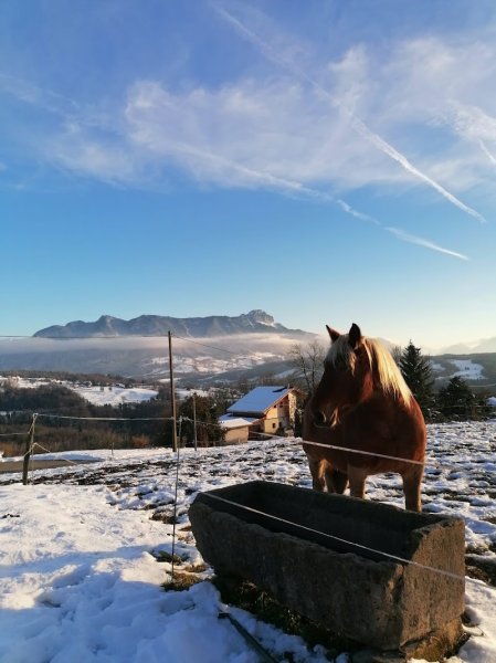 Les Écuries de Plein Sud - photo 2