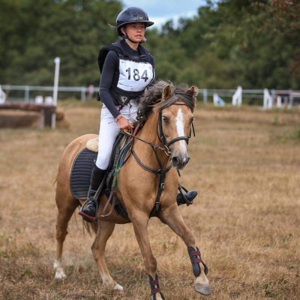 LA JUMENTERIE DE LEVIS - centre équestre - pension pour chevaux