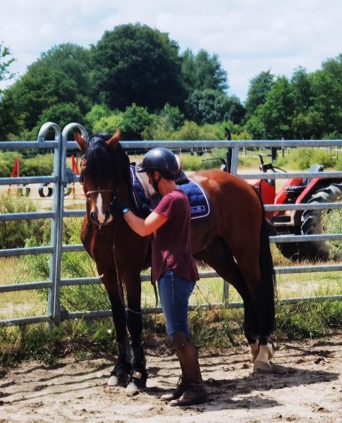 LA JUMENTERIE DE LEVIS - centre équestre - pension pour chevaux - photo 2