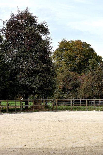 Les Ecuries du Bois d'Amont - photo 2