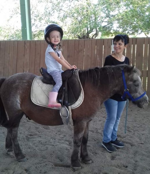 Ecurie des Muriers - photo 2