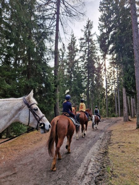 Ecurie Equi-El - photo 1